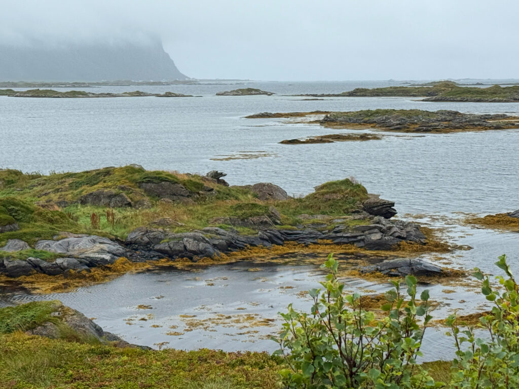 lowida Lofoten 2025