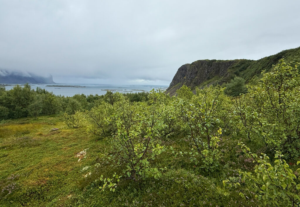 lowida Lofoten 2025