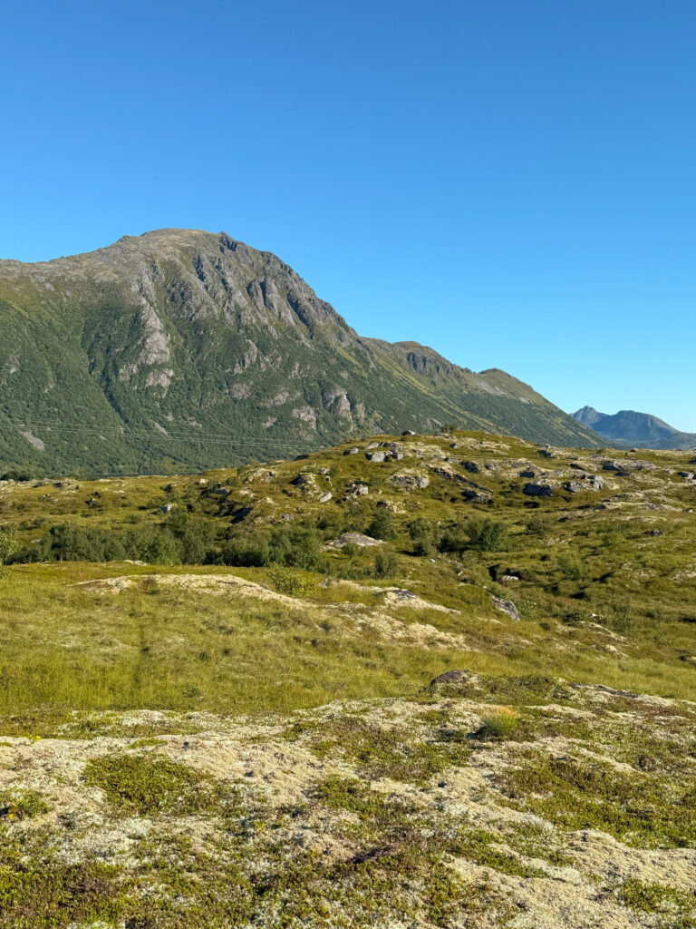 lowida Lofoten 2025