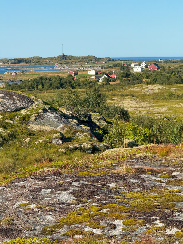 lowida Lofoten 2025