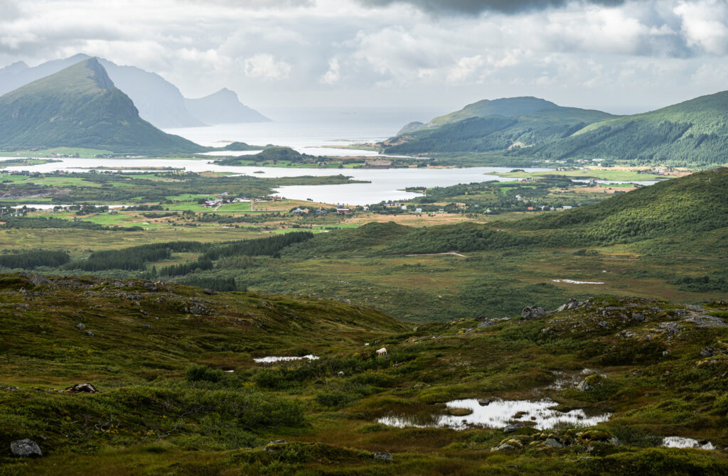lowida Lofoten 2025