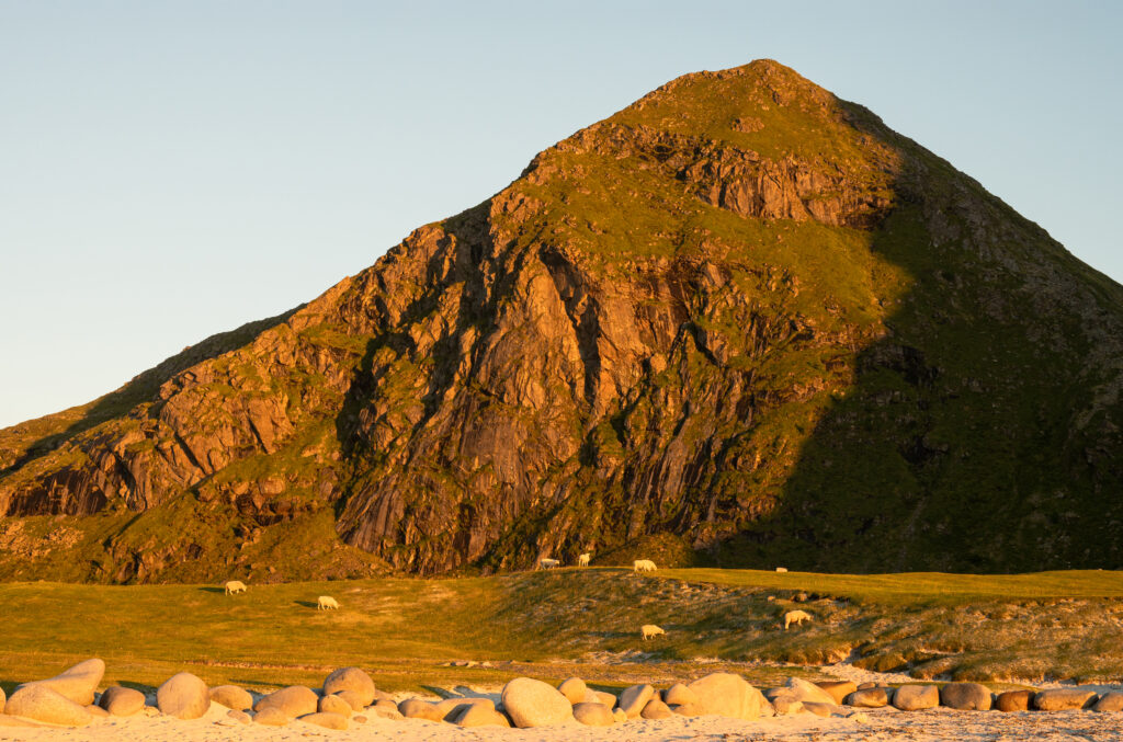 lowida Lofoten 2025